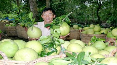  Thúc đẩy kế hoạch hành động xanh cho doanh nghiệp vừa và nhỏ 