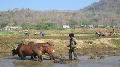  Bình Thuận giải quyết tình trạng khô hạn cho huyện Hàm Thuận Nam