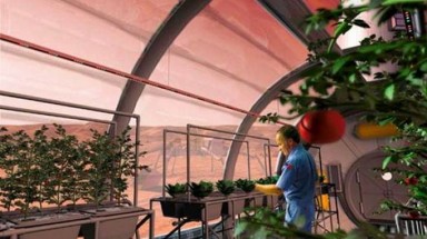  NASA sẽ trồng cây trên sao Hỏa