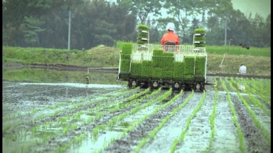  Nhật Bản kiềm chế nóng lên toàn cầu như thế nào?