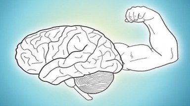   Nhiệt độ làm việc ưa thích có thể làm tăng trí nhớ