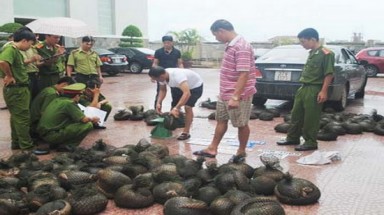  Thi giải pháp công nghệ chống tội phạm về động vật hoang dã