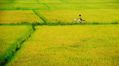 Thời tiết ngày 10 tháng 5: Nắng nóng trên 38 độ C mở rộng ra Tây Bắc bộ