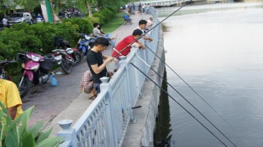  Ẩn họa khi ăn cá ở kênh ô nhiễm