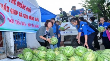   Vụ tố Tỉnh đoàn Quảng Ngãi ăn chặn tiền bán dưa: Sẽ gửi công văn cho Thành ủy Hà Nội