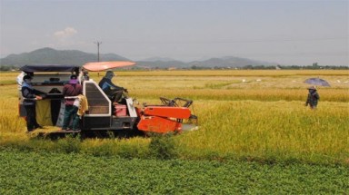  Thừa Thiên- Huế: "Ép dân" gặt lúa bằng máy do hợp tác xã hợp đồng? 