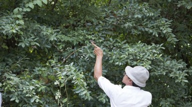   Phơi chim non để… chụp ảnh