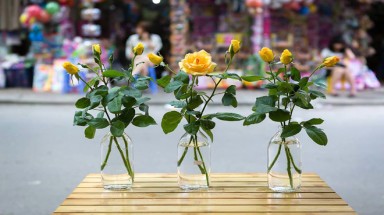   Những bình hoa đẹp với chi phí rẻ