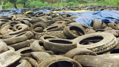 "Rác": dễ nhập, khó tái xuất