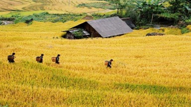  Thời tiết ngày 28 tháng 5: Nắng nóng đạt đỉnh điểm, miền núi Trung Bộ nhiệt độ lên tới 42 độ C 