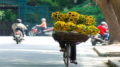  Thời tiết ngày 14 tháng 5:Tây Bắc Bộ, Bắc và Trung Trung Bộ nắng nóng có nơi trên 38 độ C kéo dài trong 2-3 ngày tới 