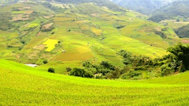  Thời tiết ngày 20 tháng 5: Bắc Bộ ngày nắng nóng, đêm mưa dông trên diện rộng 