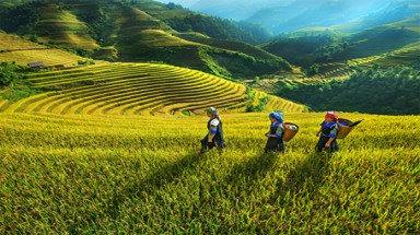  Thời tiết ngày 23 tháng 5: Vùng núi Bắc bộ có mưa to, Trung bộ duy trì nắng nóng 