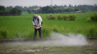   Quảng Trị: Cần sớm xử lý tình trạng ô nhiễm thuốc trừ sâu tại một số trường học 
