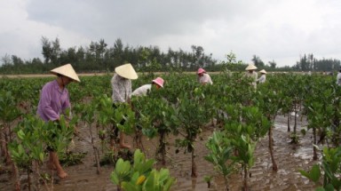  Hỗ trợ 400.000 USD để bảo vệ môi trường tại Quảng Trị 