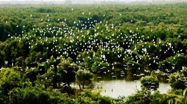  Tăng cường phòng cháy chữa cháy rừng ở Vườn Quốc gia Tràm Chim