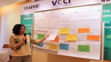  Cam kết không khoan nhượng với tội phạm liên quan đến động thực vật hoang dã