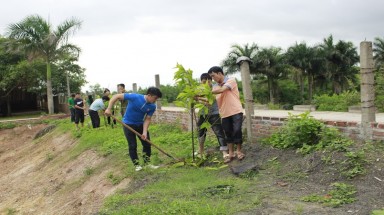  Hoa ngọc lan thơm hương trên đất cảng Hải Phòng