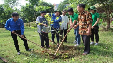  Trồng ngọc lan tại Ngôi đền thờ sự học cổ nhất Việt Nam