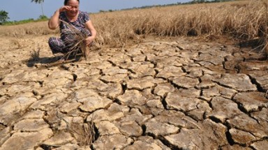 Nguy cơ tị nạn môi trường