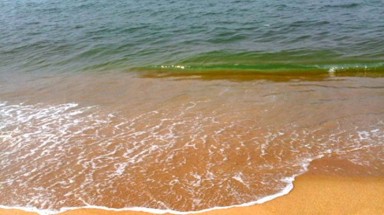 Nước biển bỗng biến thành màu đỏ đục kéo dài 1,5 km ở Quảng Bình