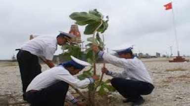  Trồng 1 triệu cây xanh trên các đảo thuộc vịnh Nha Trang 