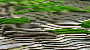  Tây Bắc mùa nước đổ 
