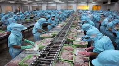  Bắt nguyên Chủ tịch HĐTV Tổng công ty Thủy sản Việt Nam 