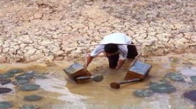  Kiến nghị Chính phủ hỗ trợ khẩn 368 tỷ để chống hạn
