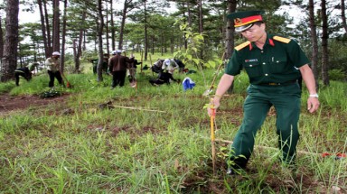   Đà Lạt: Trồng  3.000 cây mai anh đào nhân ngày môi trường thế giới