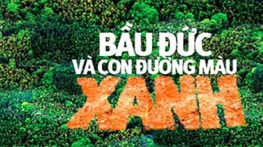    Bầu Đức và con đường màu xanh