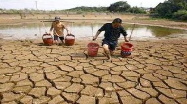  Chủ động ứng phó với biến đổi khí hậu và nước biển dâng 