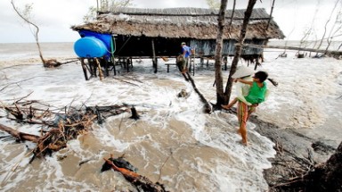    Nghị quyết TƯ 7 về chủ động ứng phó với biến đổi khí hậu