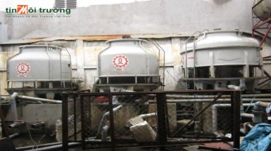   Công ty TNHH Thương mại Dịch vụ Sư Tử Bạc không sản xuất gây tiếng ồn