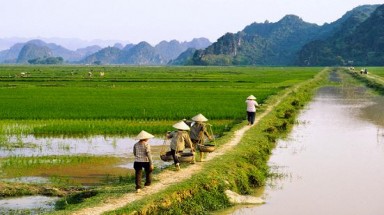    Thực phẩm Trung Quốc bẩn, độc là cơ hội cho nông nghiệp Việt Nam