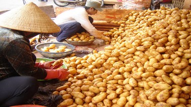  Chất độc không thể ăn được!