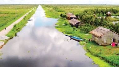   "Cởi trói” rừng tràm U Minh Hạ 