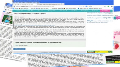     Doanh nghiệp ngấp nghé "phá sản" vì webtretho?