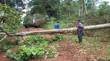     Xã hội đen chiếm đất, phá rừng