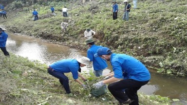  Đà Nẵng: Nhiều hoạt động thiết thực hưởng ứng Ngày Môi trường thế giới, Tuần lễ Biển và Hải đảo Việt Nam