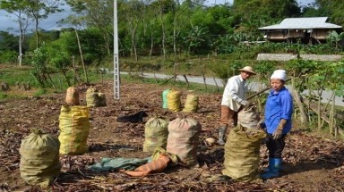  Giảm thiểu ô nhiễm môi trường trong sản xuất miến dong