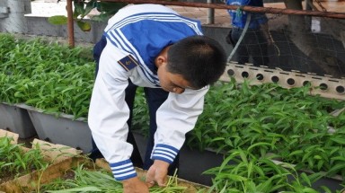  Sắc xanh căng tràn nhựa sống ở Trường Sa