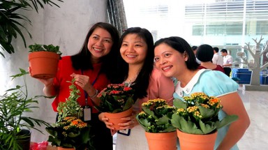 Ngày hội môi trường “Đổi vỏ hộp sữa lấy cây xanh”  