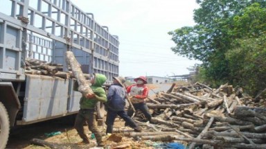  Dân khóc chặt vàng trắng: Tập đoàn cao su không liên quan?