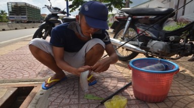  Câu cá trên vỉa hè ở Sài Gòn