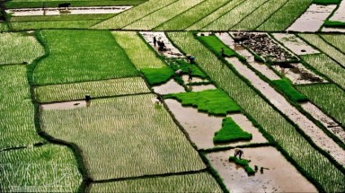  Đơn giản hóa và minh bạch thủ tục hành chính trong lĩnh vực tài nguyên và môi trường