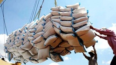  Bất thường: Trung Quốc dồn dập mua gạo Việt Nam