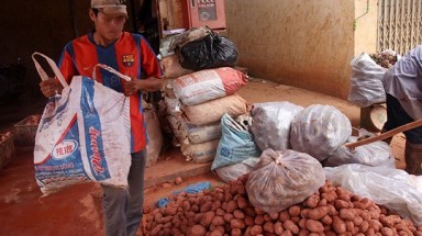  “Lột mặt” khoai tây Trung Quốc đội lốt