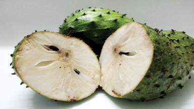  Mãng cầu xiêm chữa ung thư - Công bố gây sốc