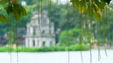 Thời tiết ngày 24/6: Bắc bộ mưa giảm, nhiều vùng biển có thời tiết xấu 